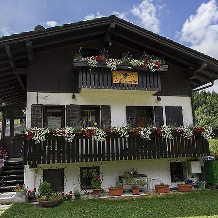 B&B La Genzianella Perarolo di Cadore Exterior foto